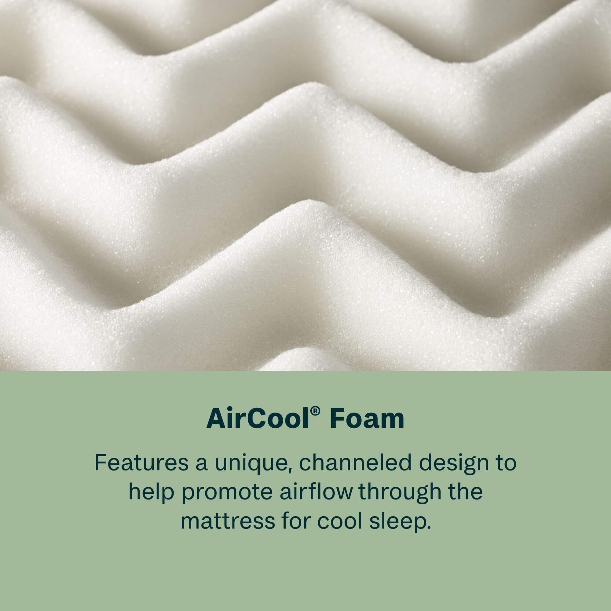 BeautySleep® by Beautyrest® Dream Weaver™