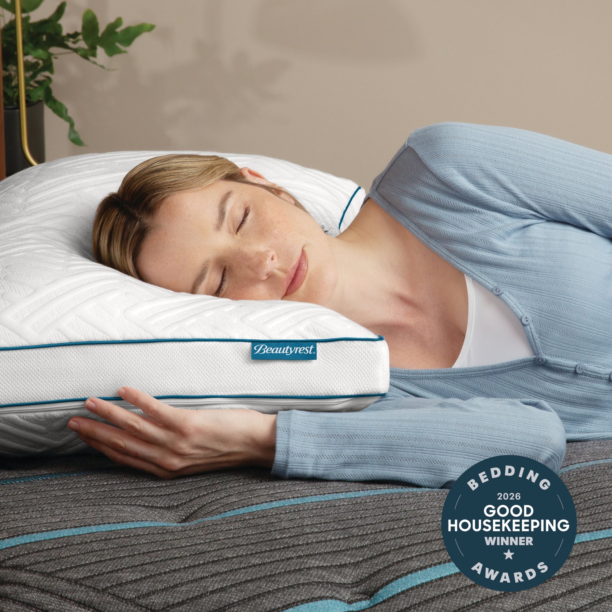 Beautyrest® Deluxe Down Alternative Pillow