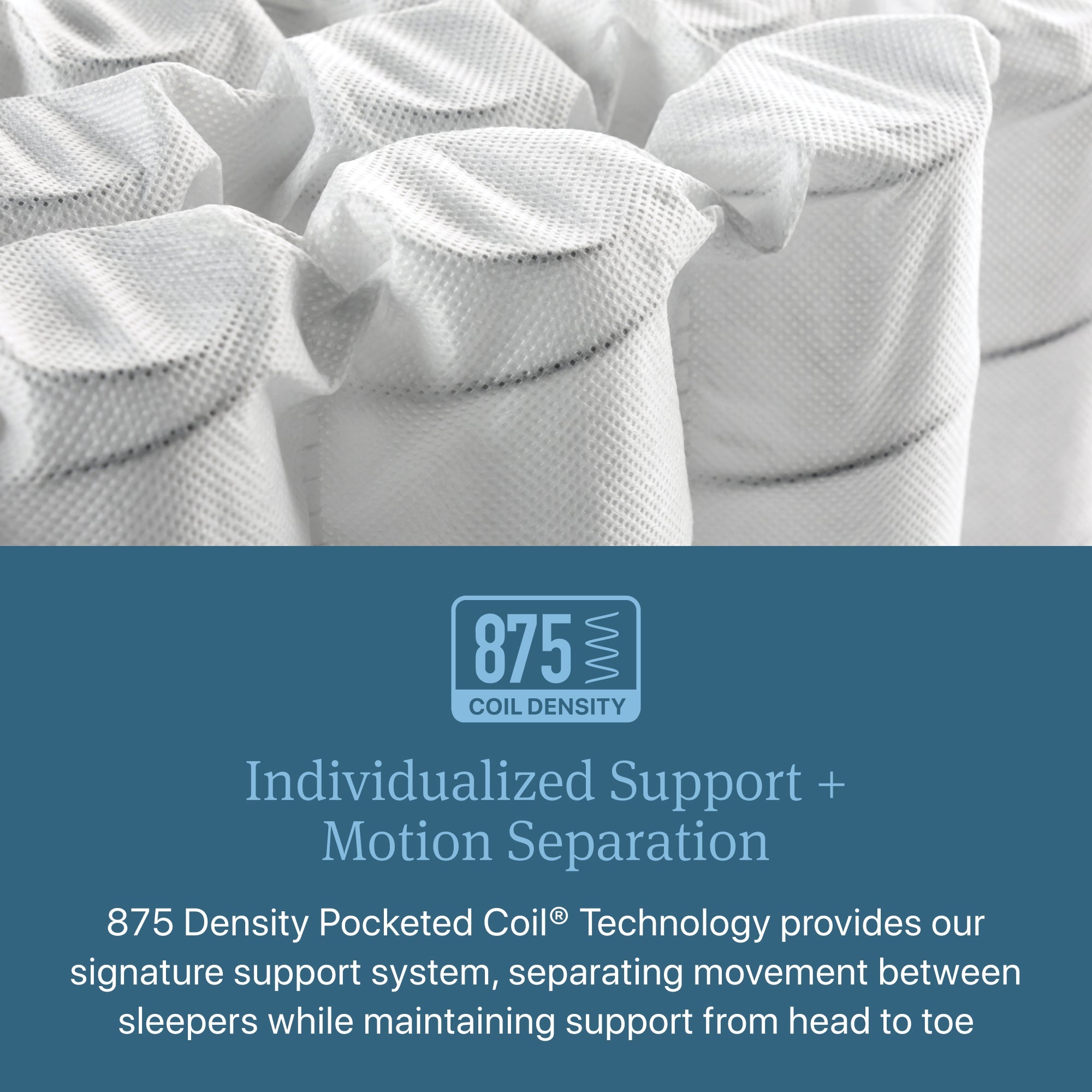 Individualized Support plus motion separation diagram