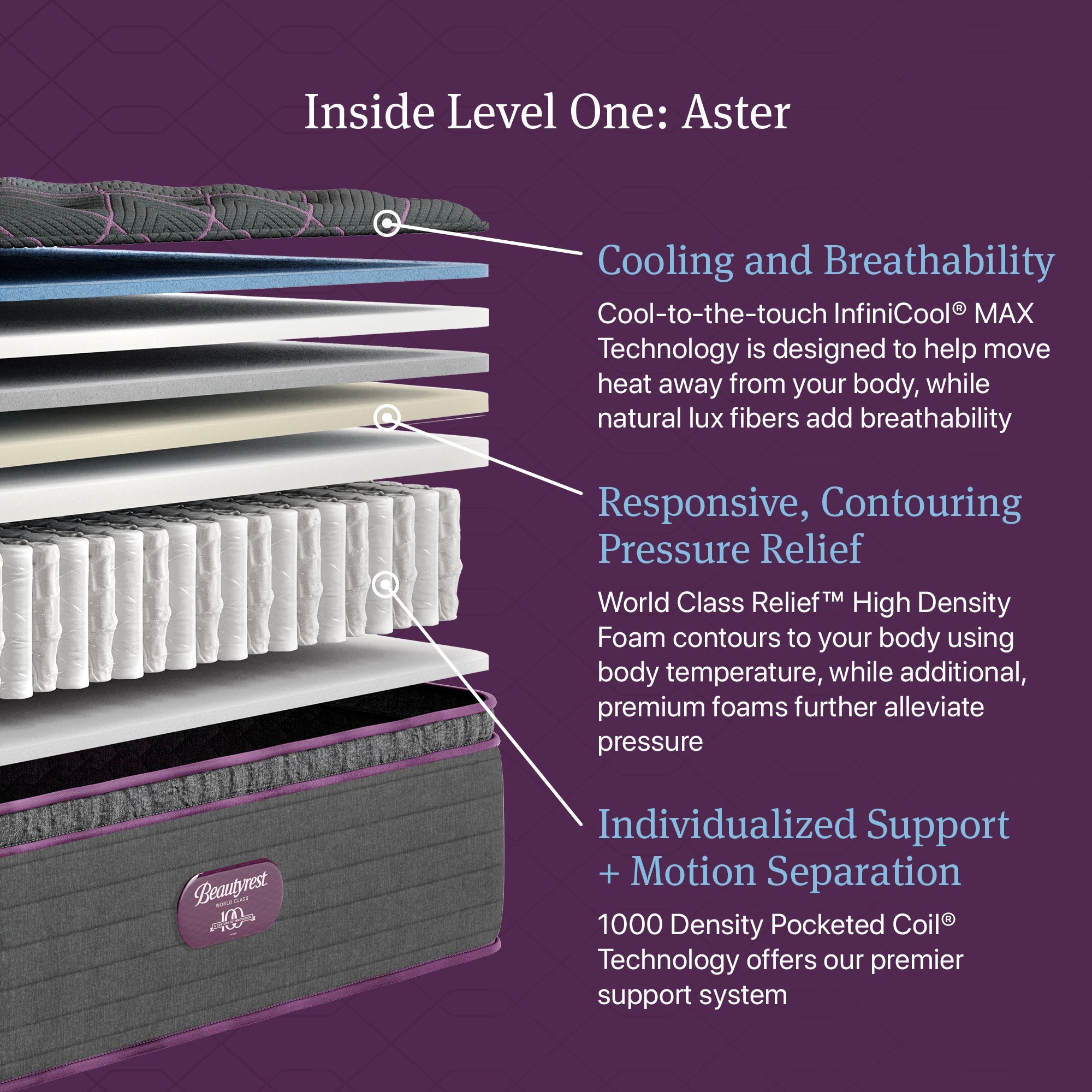 Beautyrest Canada - Level 1 World Class - "Aster"